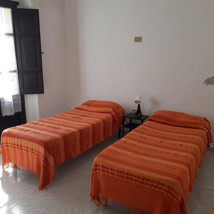 Casa Titti. Intero Appartamento - ฟอสซาเชเซีย ภายนอก รูปภาพ